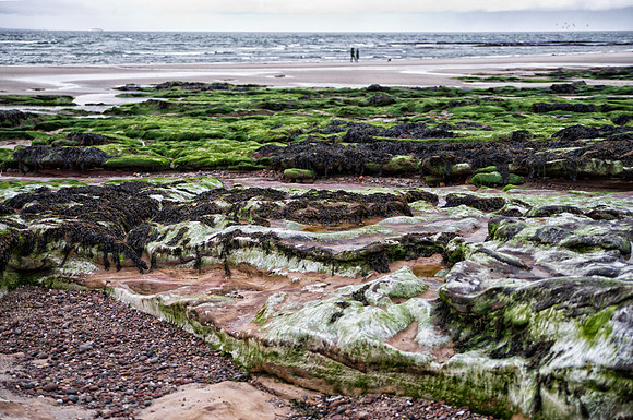 Nairn Beach Low Tide