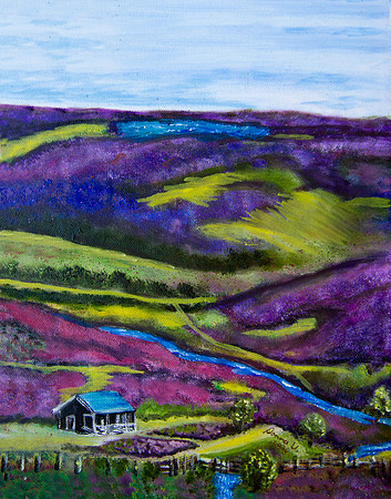 Scottish Heather in Bloom