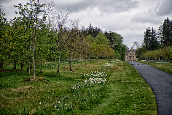 Brodie Castle